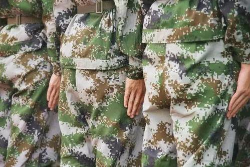 吃瓜军训视频网站下载,网络视频网站下载背后的趣味与思考