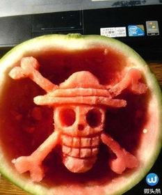 牛吃瓜的视频大全,趣味横生的动物食趣集锦