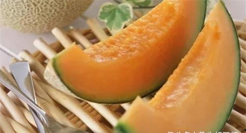 敦敦吃哈密瓜的视频,敦敦与哈密瓜的甜蜜邂逅