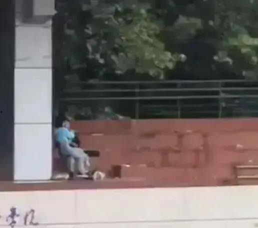 最新西安吃瓜事件视频,一场网络热议的幕后真相揭秘