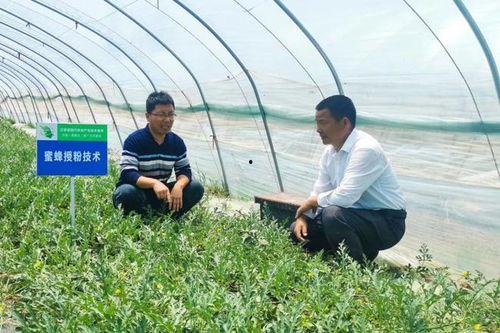 沭阳吃瓜视频,揭秘当地特色美食与风土人情