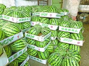 武汉人吃瓜视频,揭秘地道武汉小吃文化