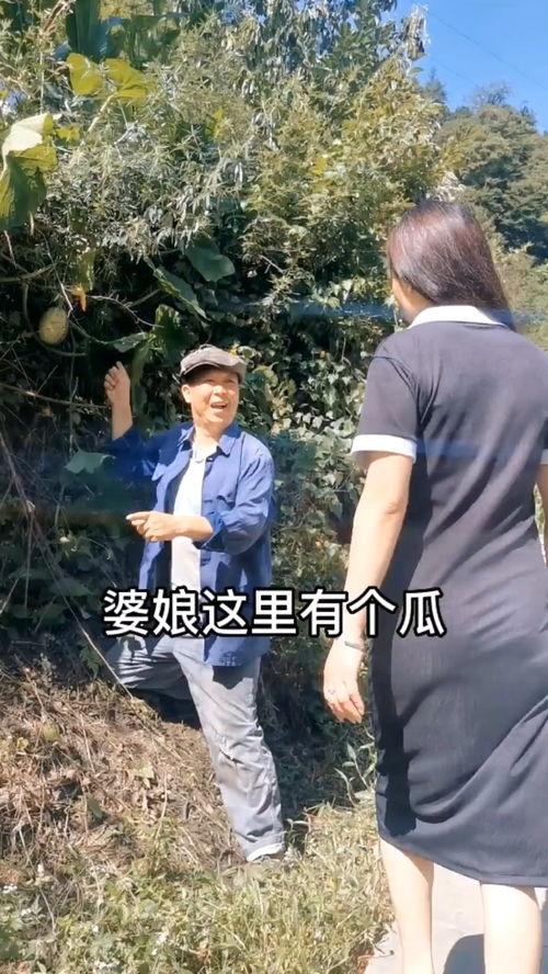 吃瓜吗搞笑视频原作者,揭秘原作者的创作魅力与幽默智慧