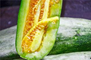 网红吃瓜视频最新,揭秘娱乐圈最新热点事件！