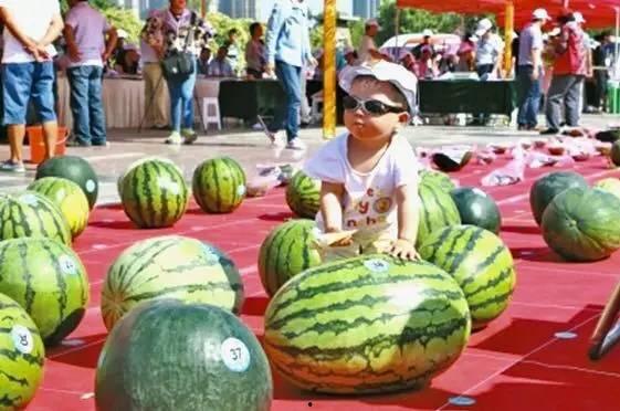 龙泉吃瓜事件视频,一场网络热议的真相揭秘