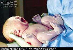 吃瓜引产闹鬼视频在线,揭秘网络谣言背后的真相