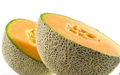 月饼猫吃哈密瓜好吗视频,萌宠美食体验大揭秘