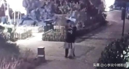 厦门世贸吃瓜事件视频最新,一场网络热议的围观与反思