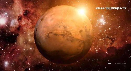 吃瓜视频火星人在线观看