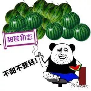 买吃瓜视频在哪买的,买吃瓜视频，热门短视频平台上的热门商品