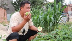 老张吃瓜最新视频,揭秘娱乐圈最新热点事件