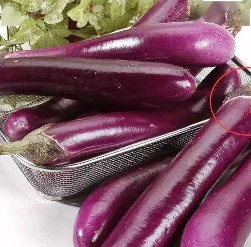 茄子吃瓜鬼畜视频下载安装,轻松获取搞笑娱乐新体验