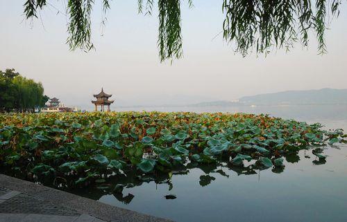 杭州西湖吃瓜事件视频,一场意外引发的全民热议