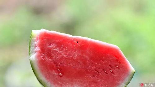 湖北咸宁吃瓜事件视频,一场网络热议的瓜田风波