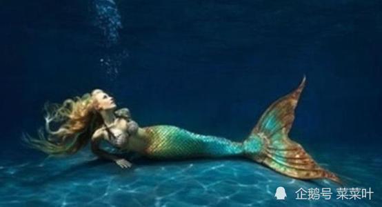 带你吃瓜美人鱼搞笑视频,带你吃瓜，笑翻全场！