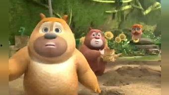 吃瓜熊被打视频大全集,全程回顾与深度解析