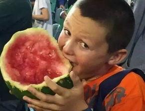 国外小孩吃瓜视频网站