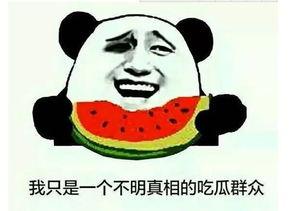 吃瓜视频群众秀