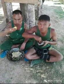 缅甸搞笑吃瓜图片高清视频,高清视频里的欢乐时光