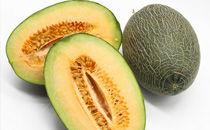 美伢吃哈密瓜视频大全,视频大全回顾