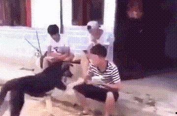 农村老娘们吃瓜事件视频