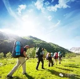 爬山吃瓜女孩视频,揭秘网络红人的崛起之路