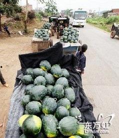 汕头庵埠吃瓜事件视频,一场引发热议的街头冲突瞬间