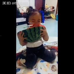 吃瓜的娃娃视频,趣味视频揭秘童年欢乐时光